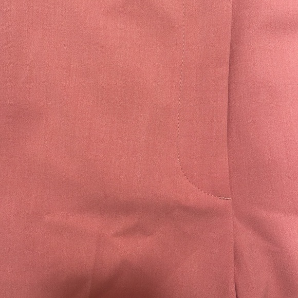 NWT Zara Ankle pants - Picture 4 of 5